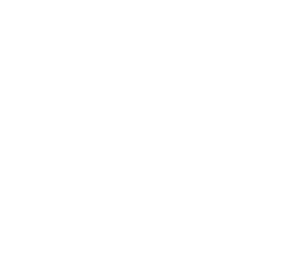 Premier_ICON_REV